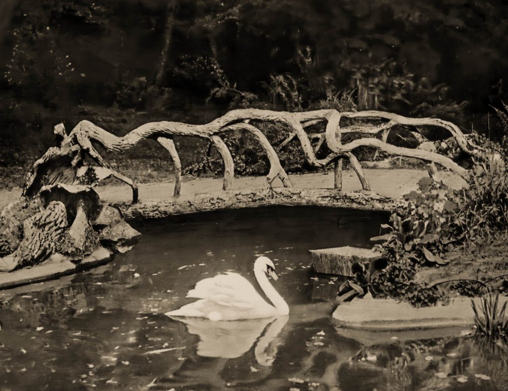 French faux bois bridge with swan in Jardin Dumain