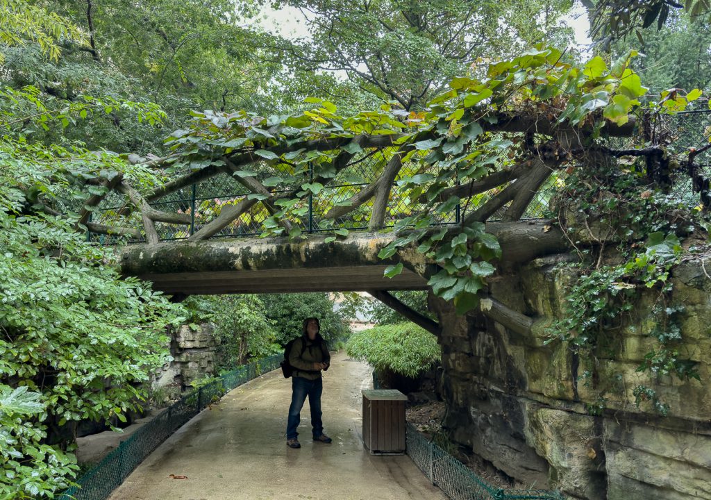 a faux bois bridge in Jardin de la Nouvelle France near the Grand Palais